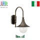 Вуличний світильник/корпус Ideal Lux, алюміній, IP43, чорно-золотий, CIMA AP1. Італія!